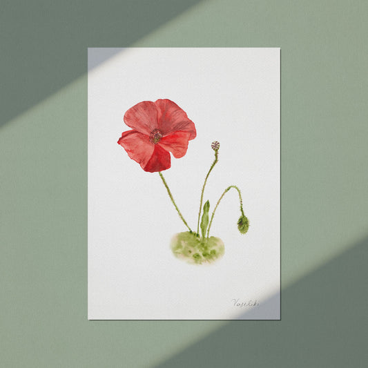 Poppy - Wall Art Print A4