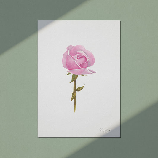 watercolour painting of rose on art print