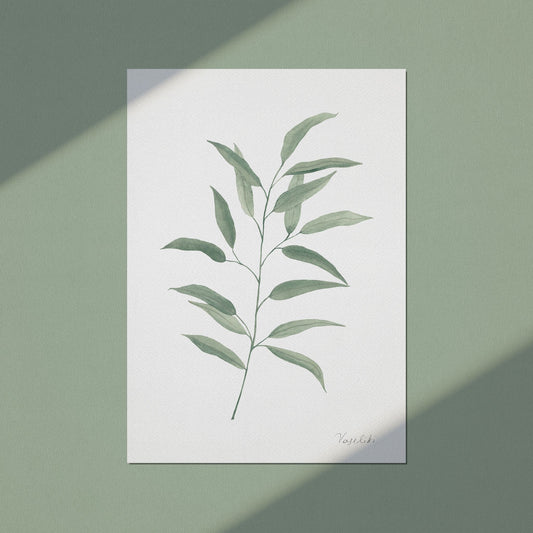 art print willow peppermint eucalyptus