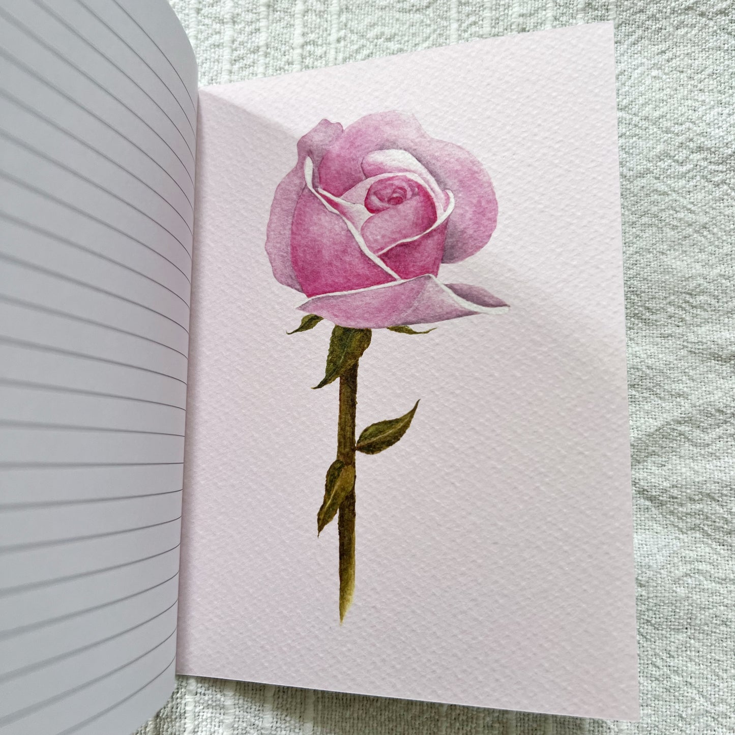 First Notebook